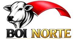 BOI NORTE UPDATE enhance (1) (1)